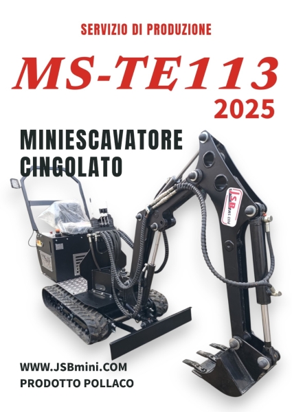 Mini MS -TE113 JSB - IT