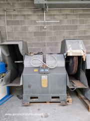 PULITRICE LUCIDATRICE DAN TECHNOLOGY CON INVERTER