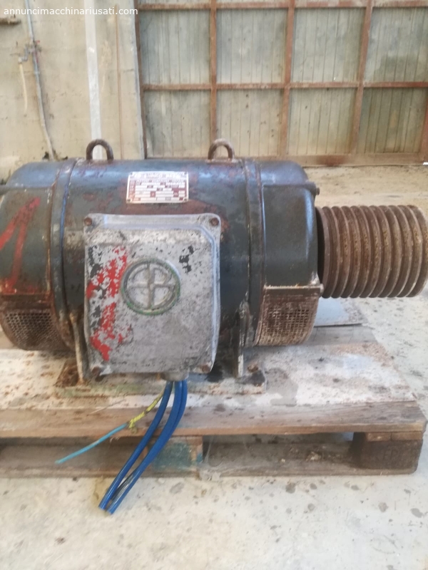 Motor asíncrono trifásico