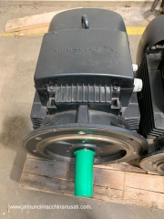 15Kw electric motor overhauled